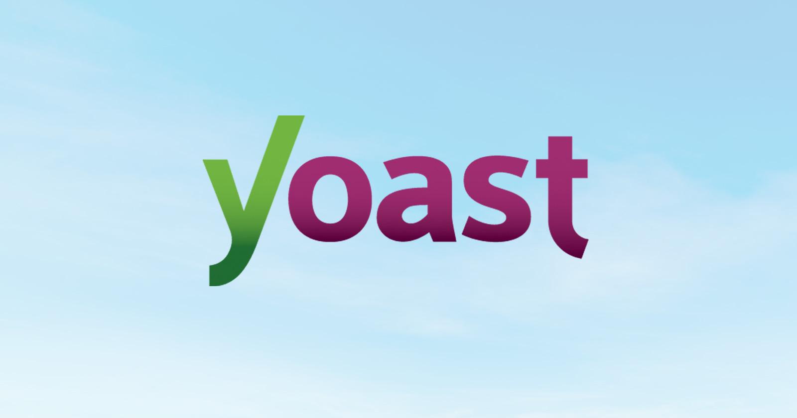 Leia mais sobre o artigo Key Management Leader At Yoast SEO Steps Down