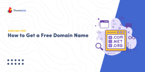 Leia mais sobre o artigo How to Get a Free Domain Name: 2 Ways That Work